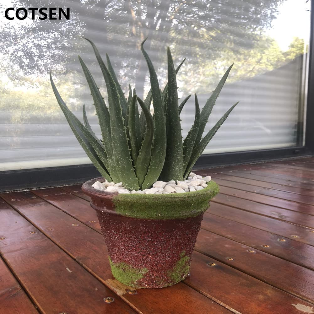 COTSEN maintenance-free artificial succulent for elegant table displays