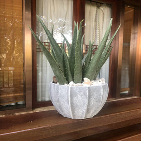 COTSEN plastic succulent with green leaves for low-maintenance decor