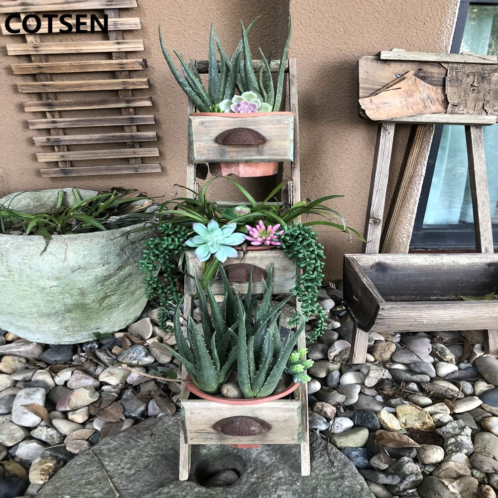 COTSEN artificial succulent in glass container for versatile decoration