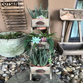 COTSEN artificial succulent in glass container for versatile decoration