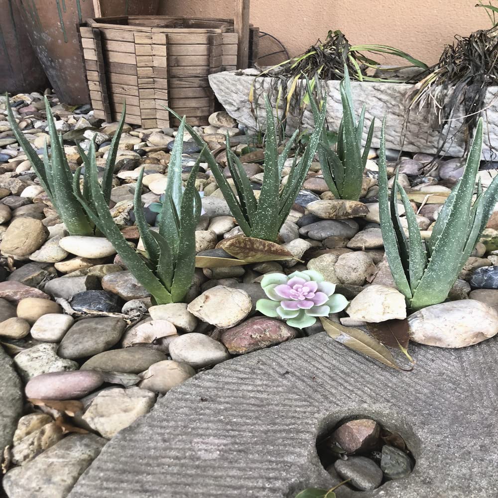 COTSEN artificial succulent for wedding and hotel decor, adds greenery without upkeep