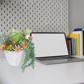 COTSEN office decor setup using succulents for desk ambiance