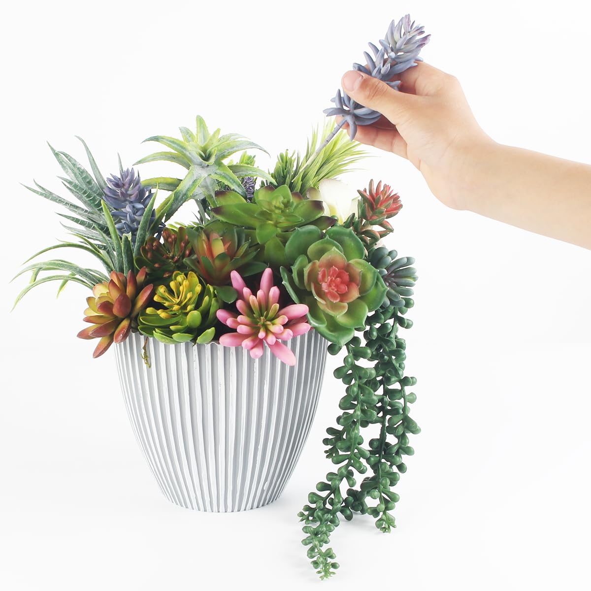 COTSEN durable plastic stems mimic real succulents for versatile arrangements