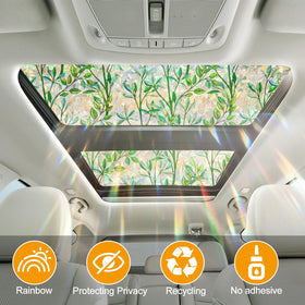 Countewol dining room window film creates cohesive style with rainbow glow