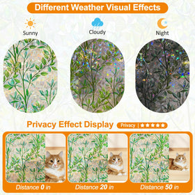 Countewol non adhesive window film removable without residue