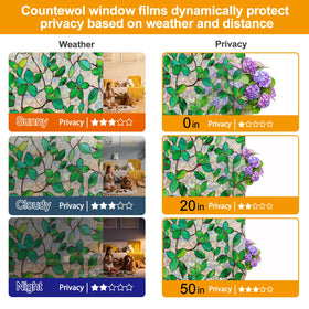 COUNTEWOL privacy-light-control film keeps visibility low while letting daylight through.