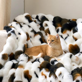 Cozy Bliss versatile throw for couch, bed, and living spaces.