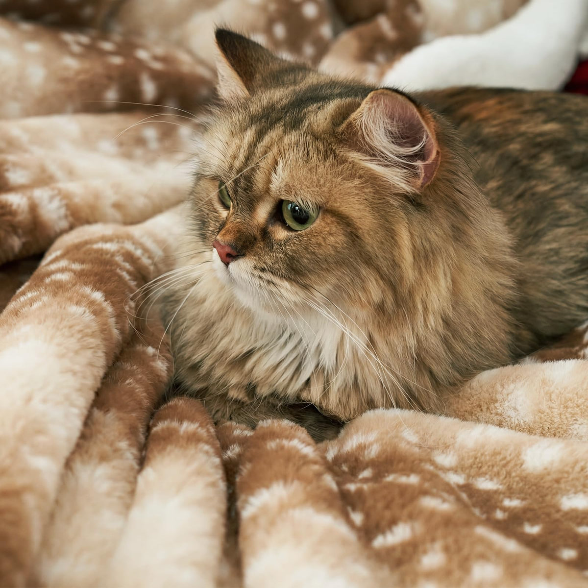 Cozy Bliss gift-ready faux fur blanket for holidays or special occasions