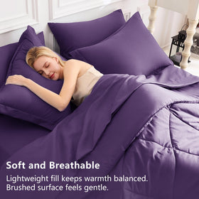 CozyLux box-stitching comforter maintains shape and loft