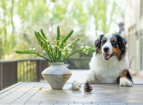 CozyWel ceramic vase crafted with quality materials for durable home décor use.