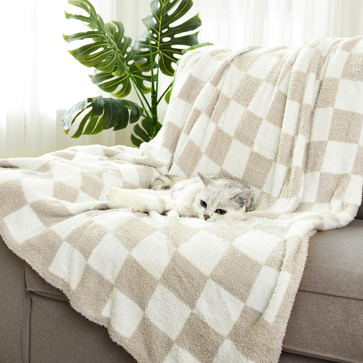 Cozzenity checkered throw blanket packaged in colorful box as gift option