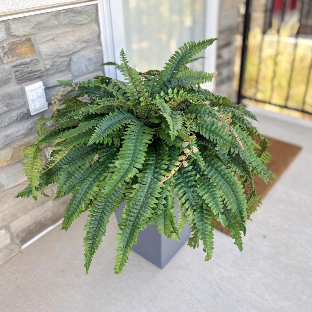 CQURE 128-branch fake fern packaging showing two large ferns.