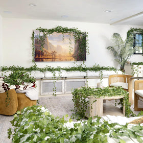 CQURE ivy with subtle lighting setup showing LED compatibility benefits.