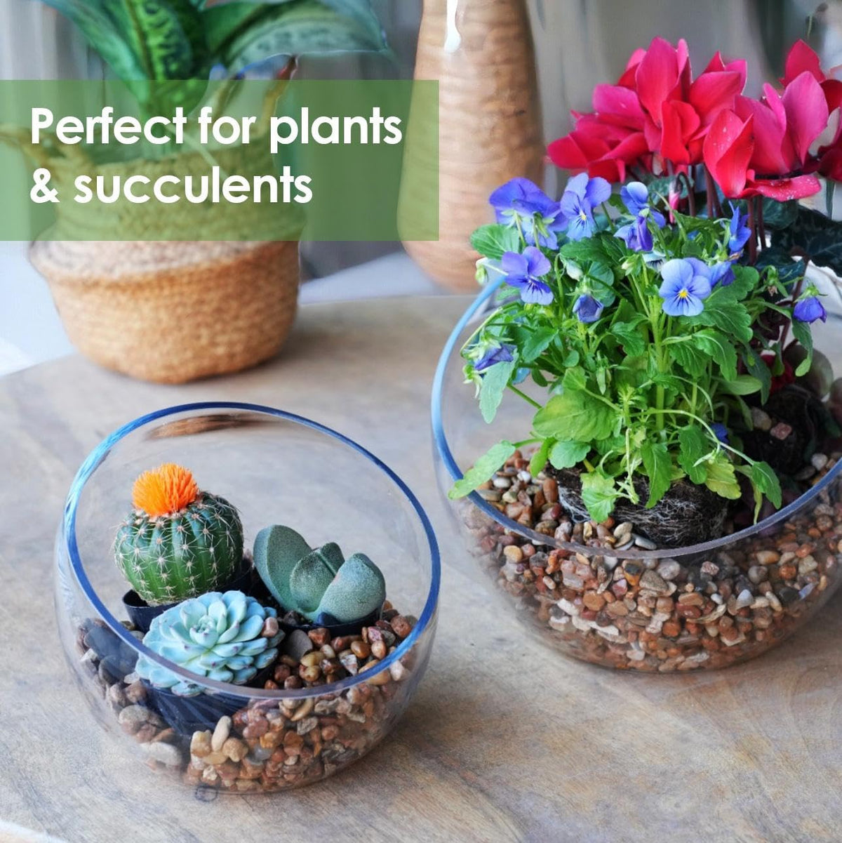 Craft And Party slant cut bowl candy dish offers practical party-ready serving display.