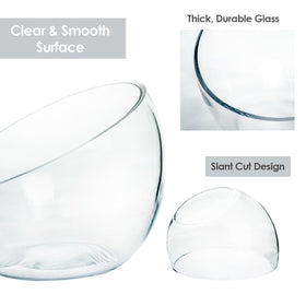 Craft And Party slant cut bowl with succulents demonstrates terrarium versatility and compact display.