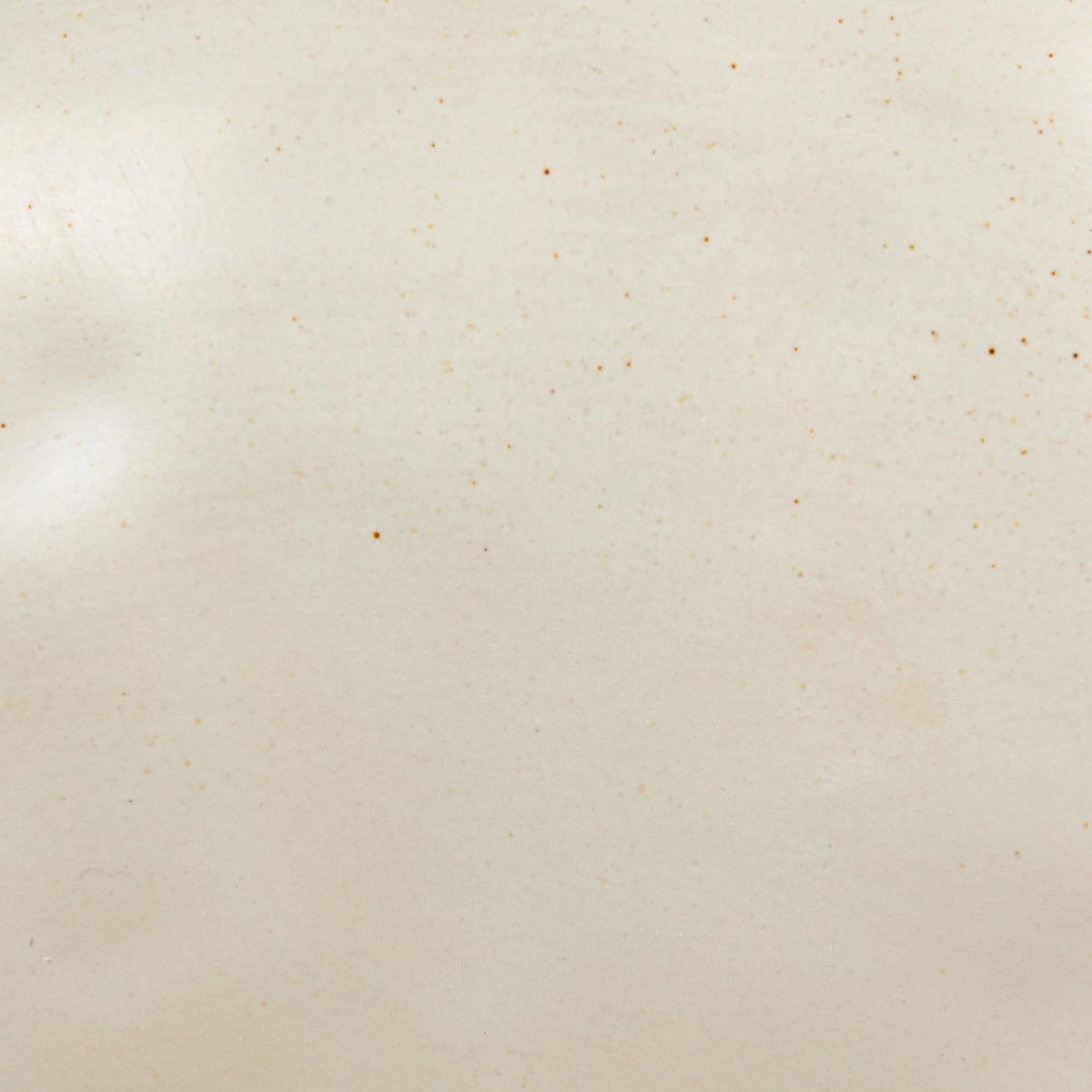 Creative Co-Op stoneware bowl close-up, crisp white glaze and texture.