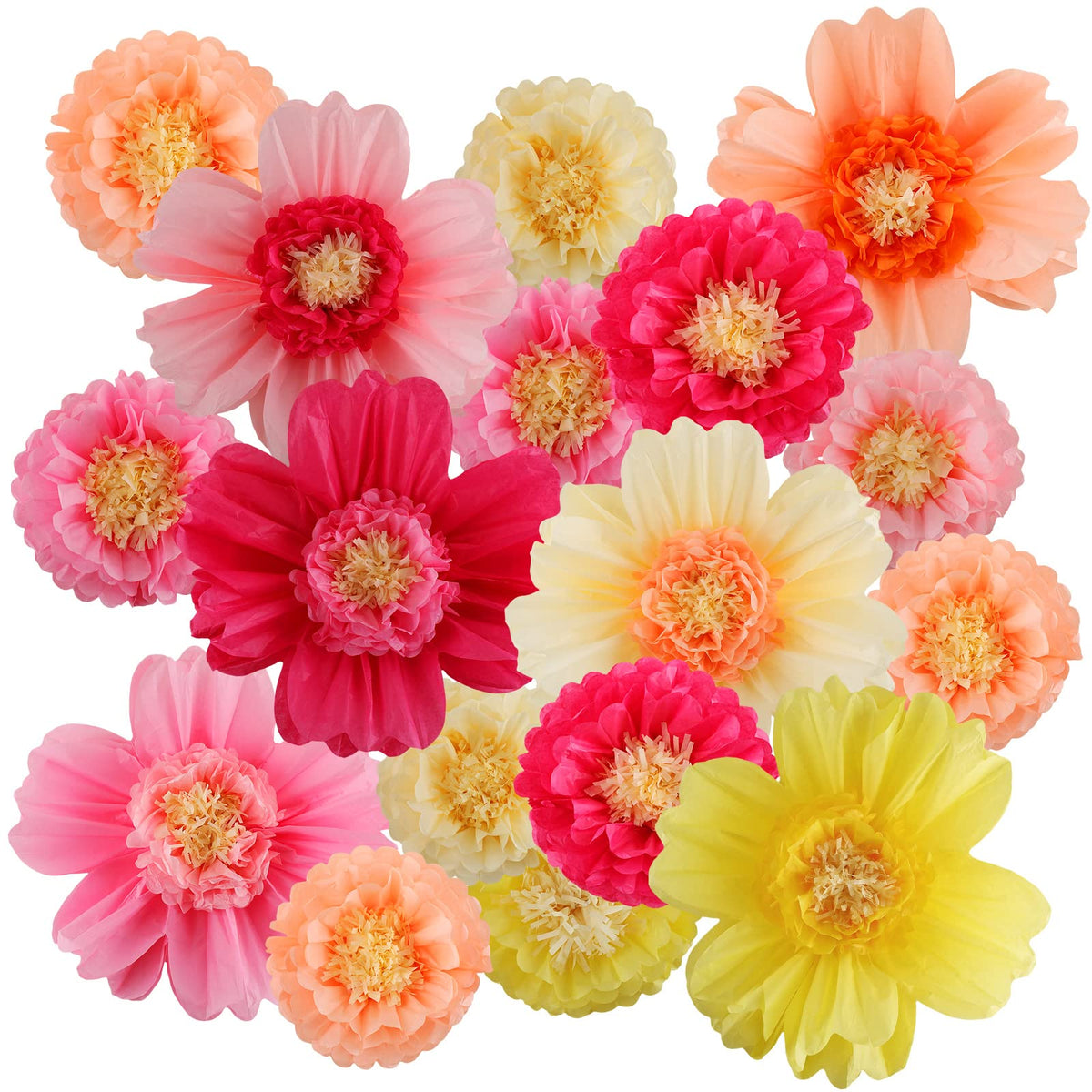Crowye 24pcs tissue flowers create a stunning giant 20in wall backdrop for events.