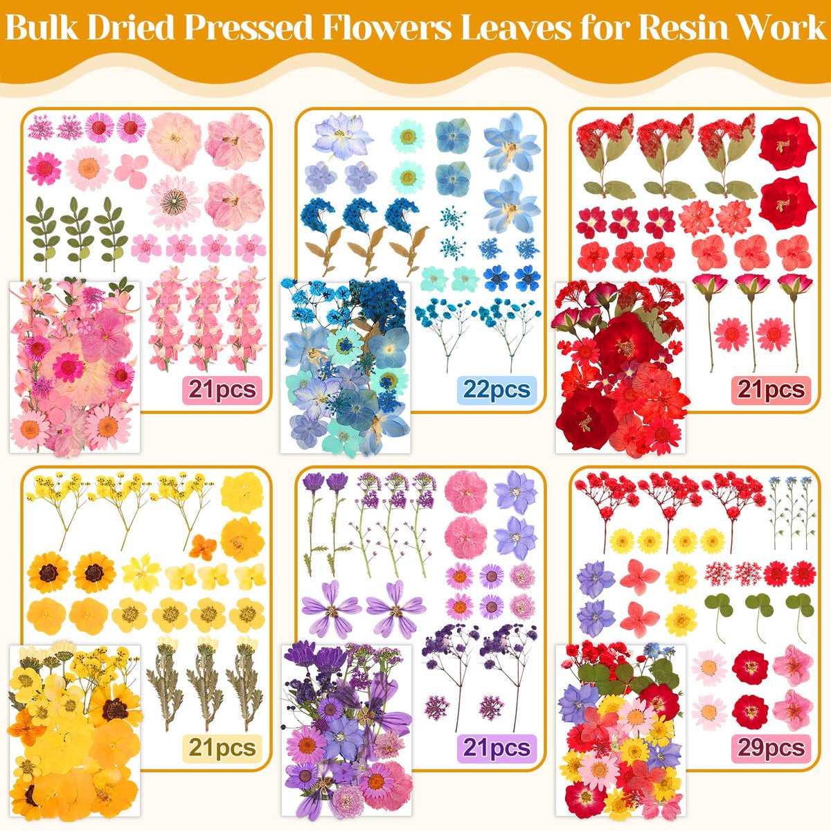 Cruzix dried flowers on cardstock preserve shape for easy crafting.