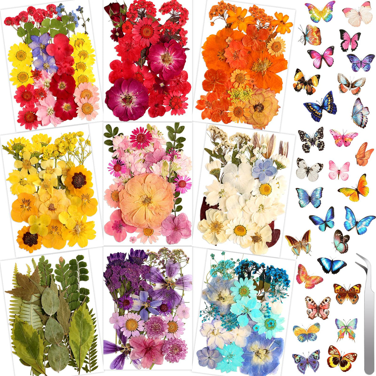 Cruzix pressed flowers bundle for DIY crafts with preserved color.
