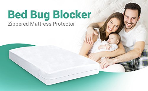 CrystalTowels durable protector defends against spills and stains