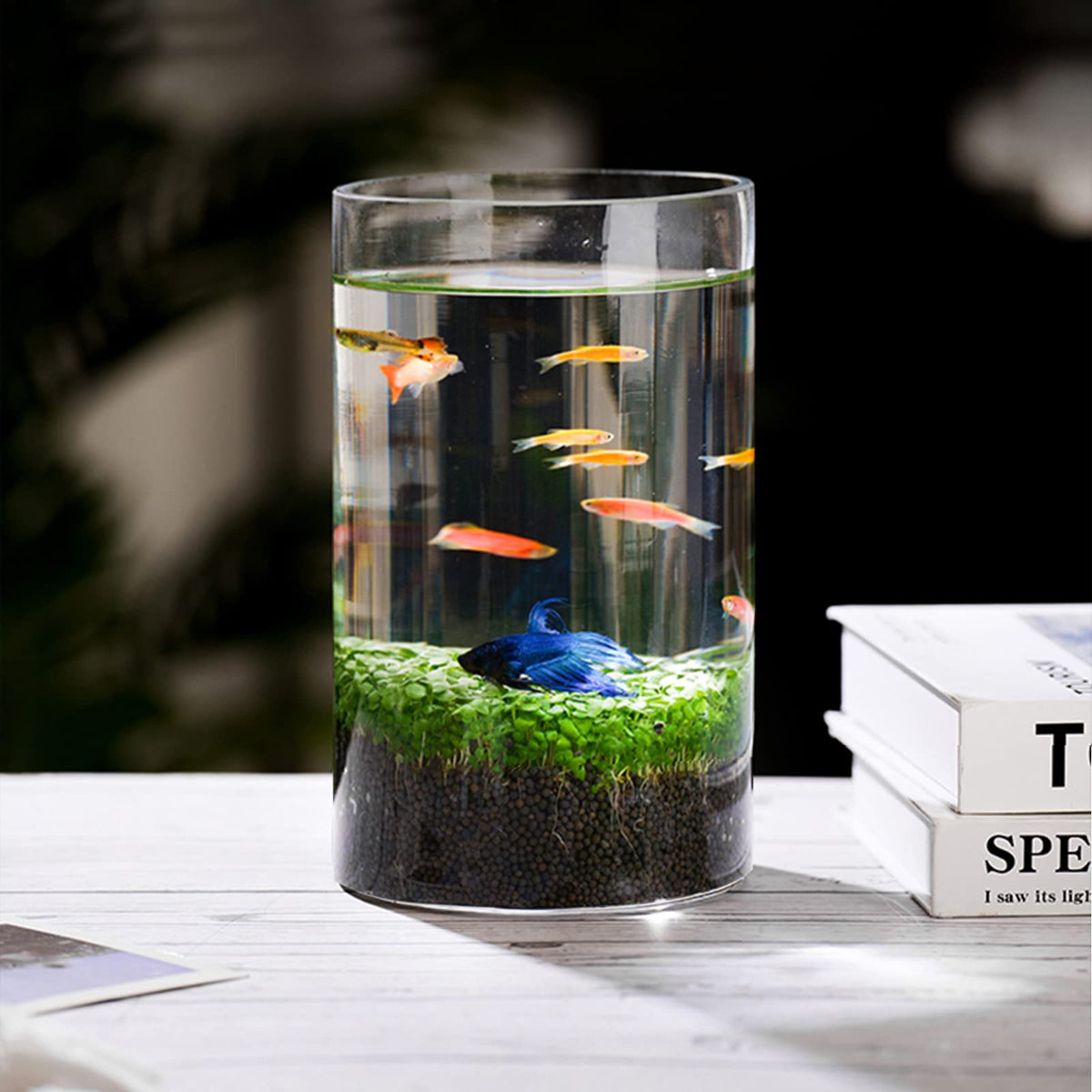 CUCUMI table centerpiece vases for restaurants and gardens.
