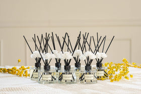 Culture & Nature diffuser base enhances shelf decor with subtle fragrance.
