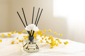 Culture & Nature diffuser sticks arranged for a modern decor accent.
