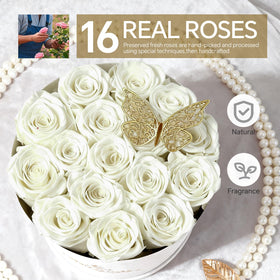 Cyrabota luxury suede round box protecting preserved roses for refined decor