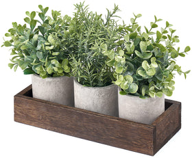 Dahey versatile dining room table decor to brighten spaces.