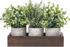 Dahey eucalyptus centerpiece on a wood tray for rustic dining tables.