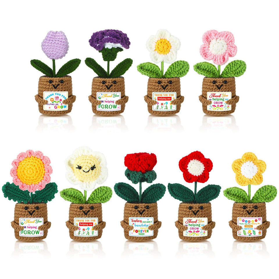 Daifunli teacher appreciation crochet flower set with sunflowers and roses ready to display