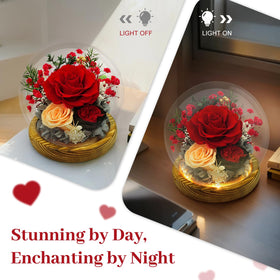 DAKEYUN preserved rose dome as bedroom decor adding romantic ambiance.