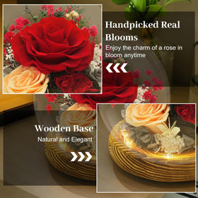 DAKEYUN red rose dome on kitchen table for ambient decoration.
