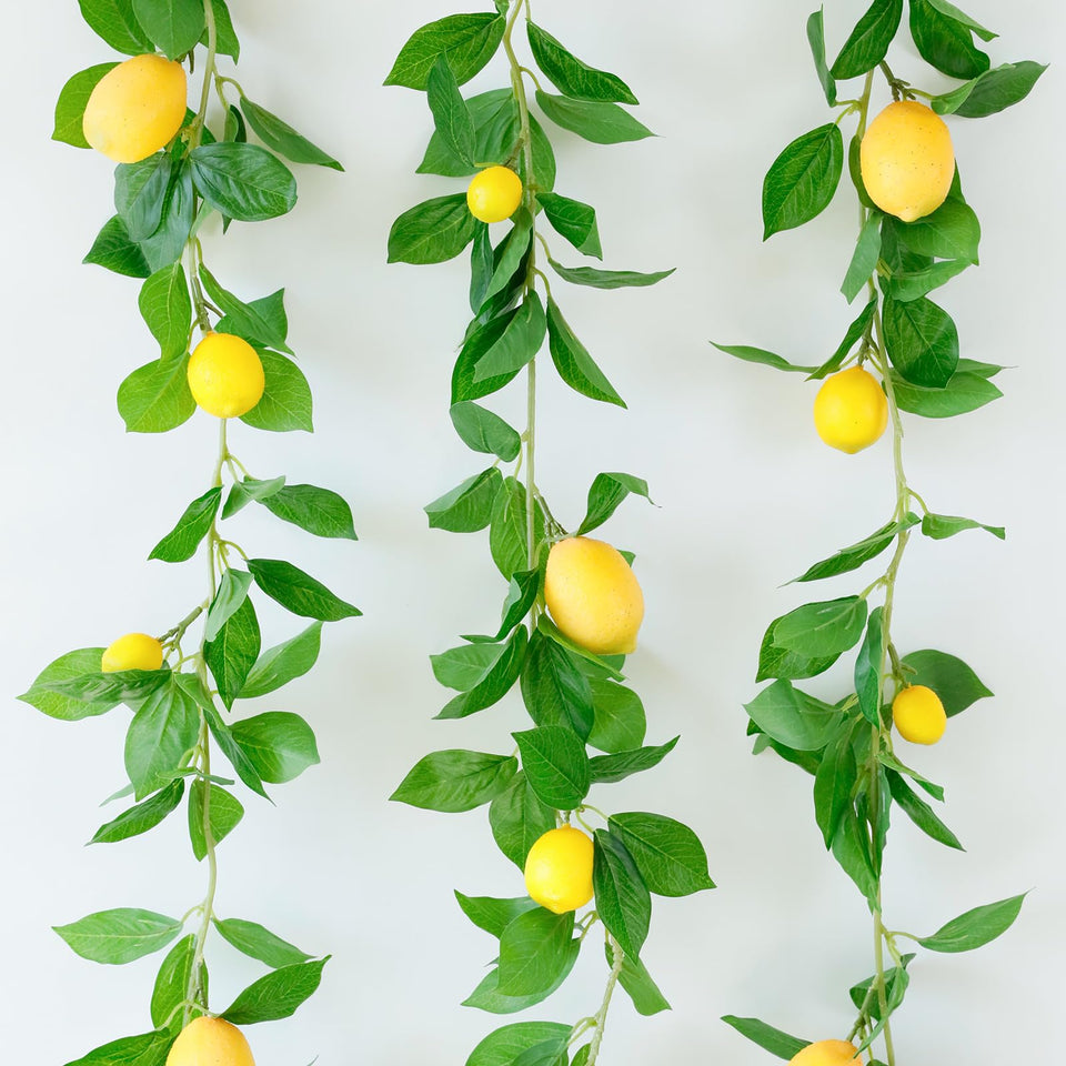 Dallisten lemon vines garland for vibrant indoor decor