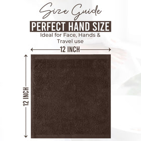DAN RIVER washcloth brown pack image emphasizing value and quality