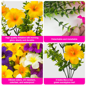 Daynight petunias for windowsill planters, easy setup.