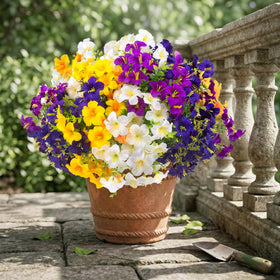 Daynight 32 piece set for outdoor decor across garden, patio, and doorstep.