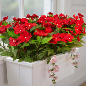 Daynight impatiens hanging planter scene adds charm and ease.