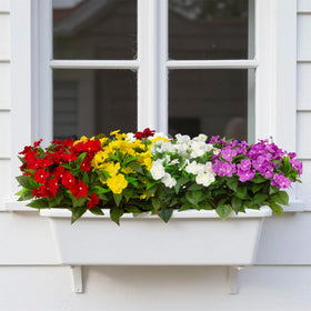Daynight impatiens easy to arrange in hanging planters