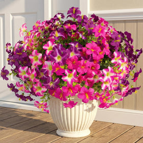 Daynight faux petunias rose-red outdoor flowers brighten porches