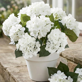 Daynight hydrangea arrangement centerpiece for elegant tables