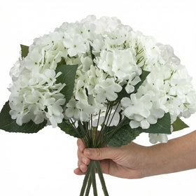 Daynight hydrangea front porch accent staying vibrant in sun and rain