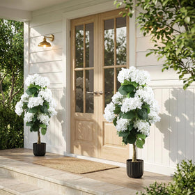 Close-up of Daynight hydrangea topiary branches showing lush blooms.