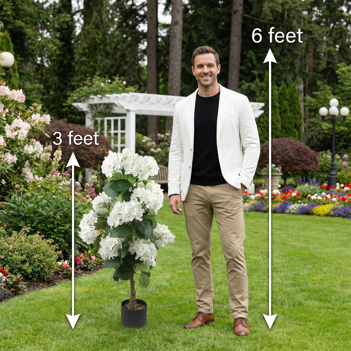 Daynight hydrangea creates wedding or event backdrops and photos.