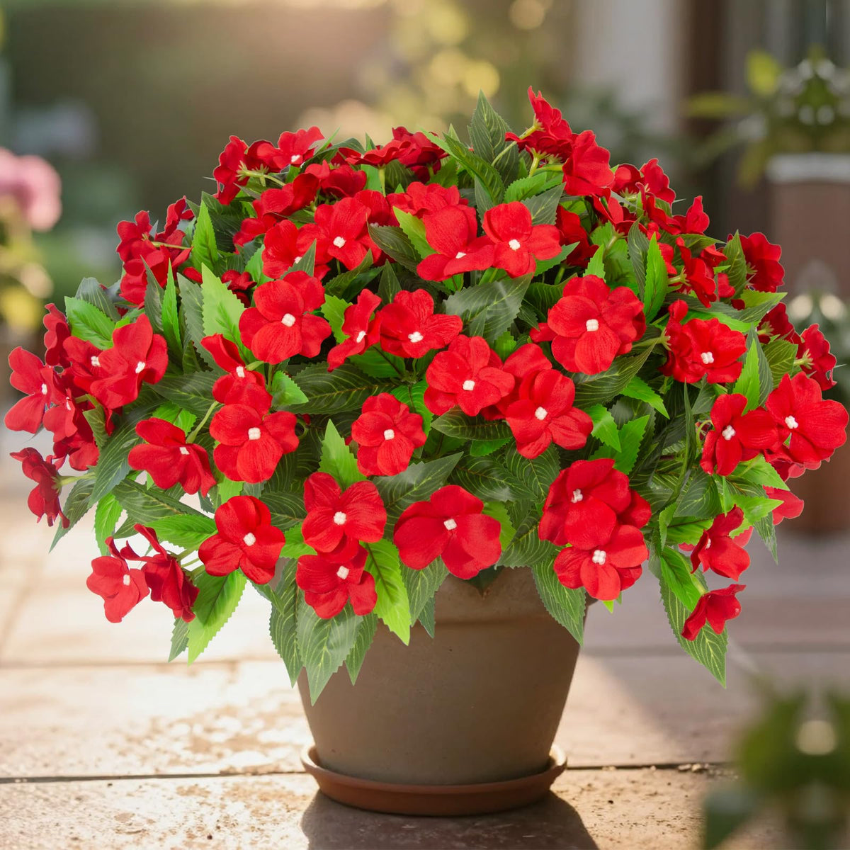 Daynight 8 piece set provides color for window boxes