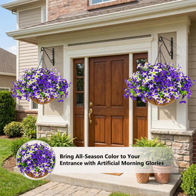 Daynight petunias for patios and pathways frame inviting routes with lush texture.