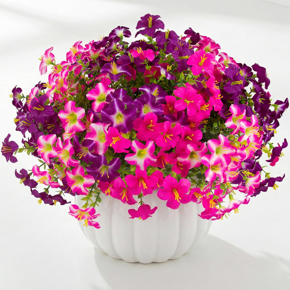 Daynight petunias side-pathway flair color accents along walkways