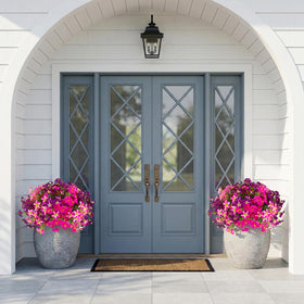 Daynight petunias windowbox display lifelike blooms on display