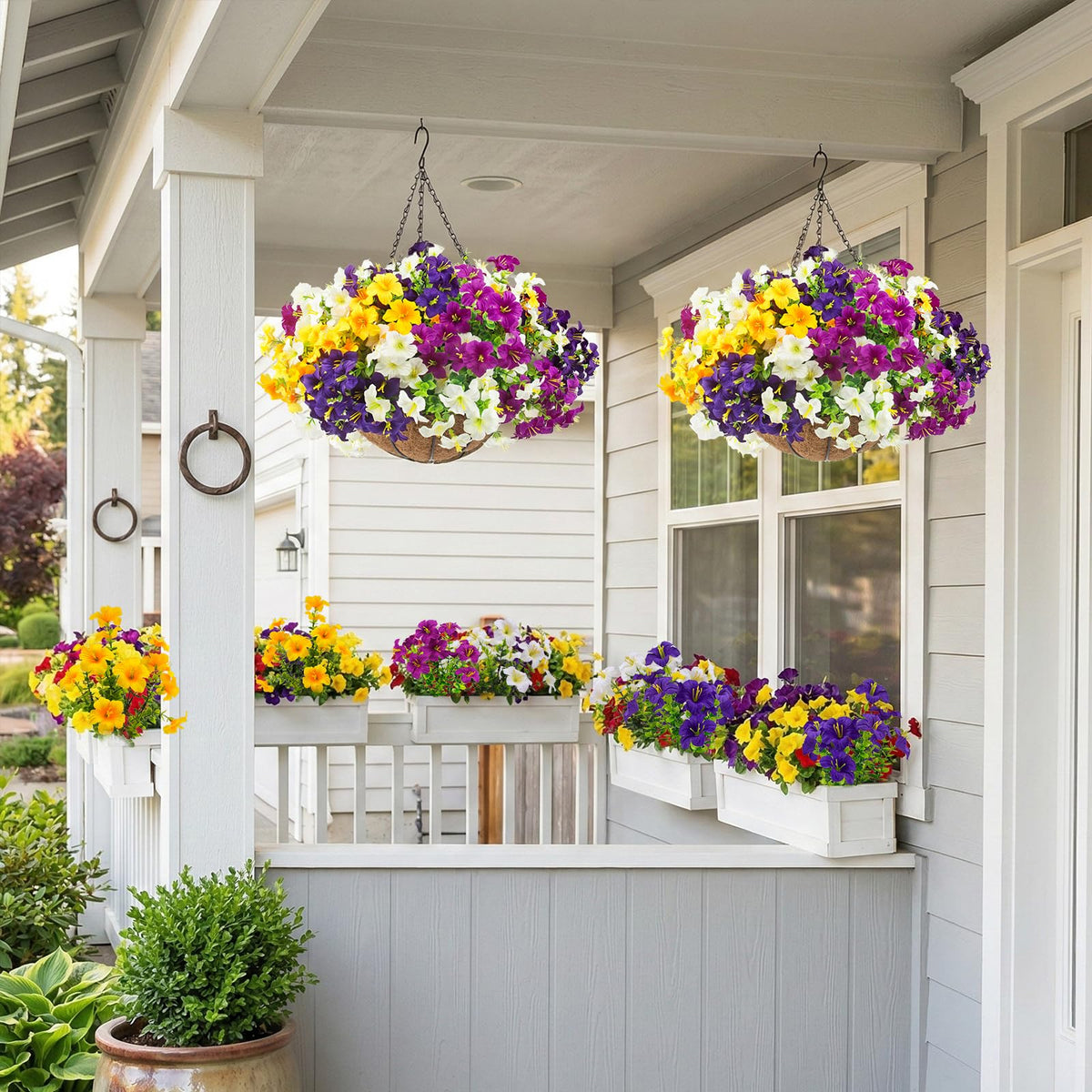Daynight Petunias UV-resistant material keeps colors vibrant in sun