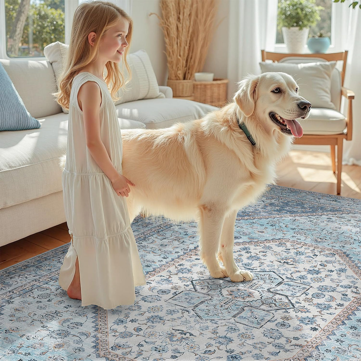 DCX Blue 5x7 rug is kid and pet friendly for busy households.